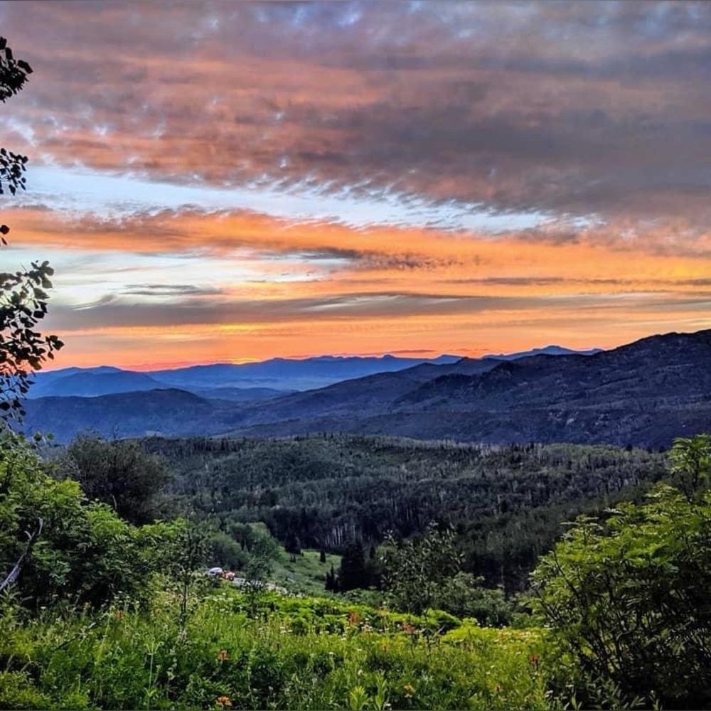 Meet your Posher, BMW